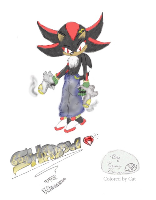 ♟️ on X: sonic / shadow praise? 🌻  / X